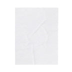 Koi Fish Pond Willow Tree Forest Velveteen Throw