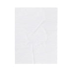 Celestial Houseplant Garden Velveteen Plush Blanket