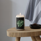 Monstera Thai Constellation Leaf Scented Soy Candle | 13.75oz Aromatherapy Candle for Home Décor